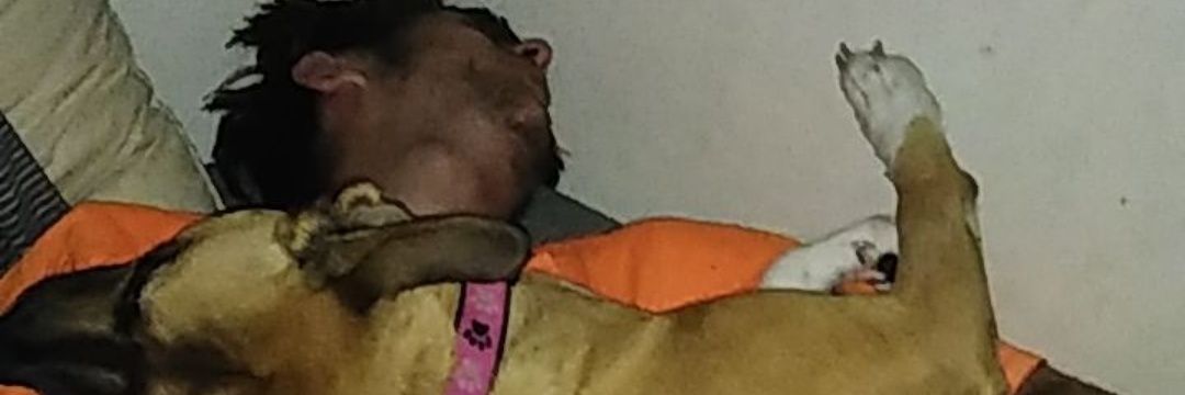 hogg1220's profile banner image
