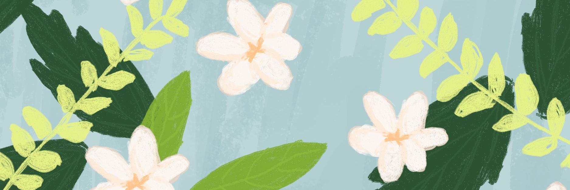 yaneyaney_'s profile banner image