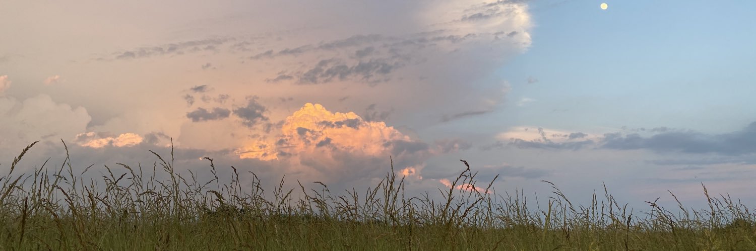 gracezichelli's profile banner image