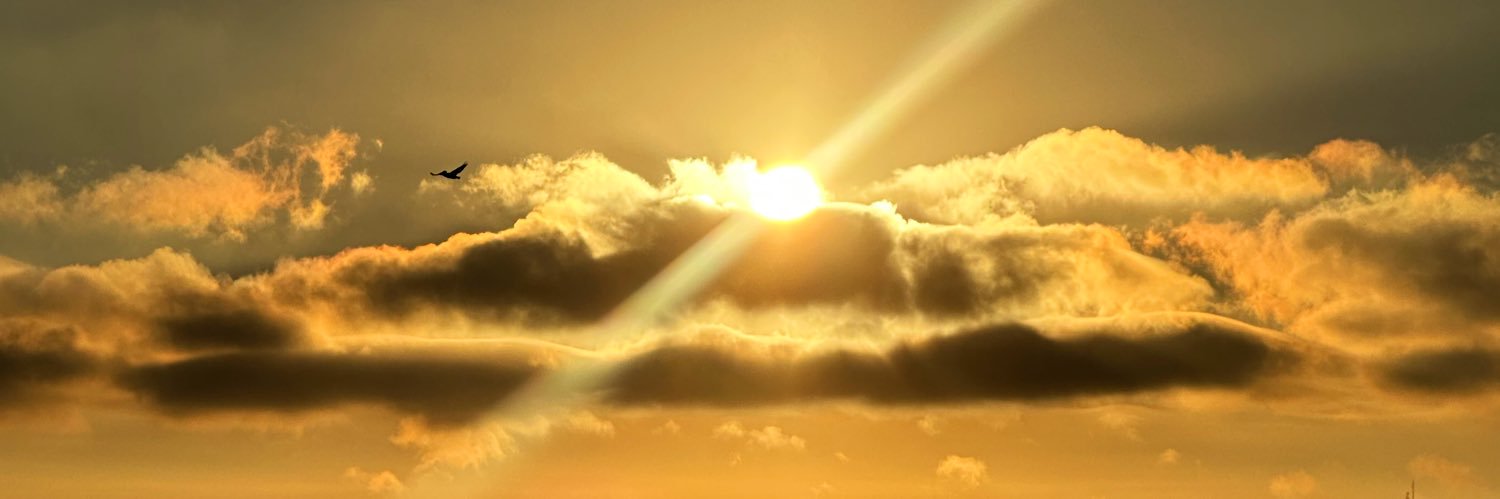 carrrrrrina's profile banner image