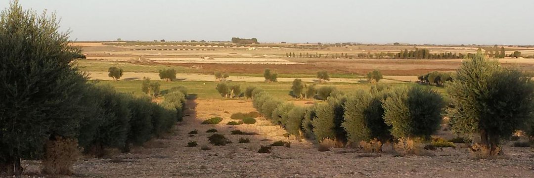 Máximo Florín ☮️ banner