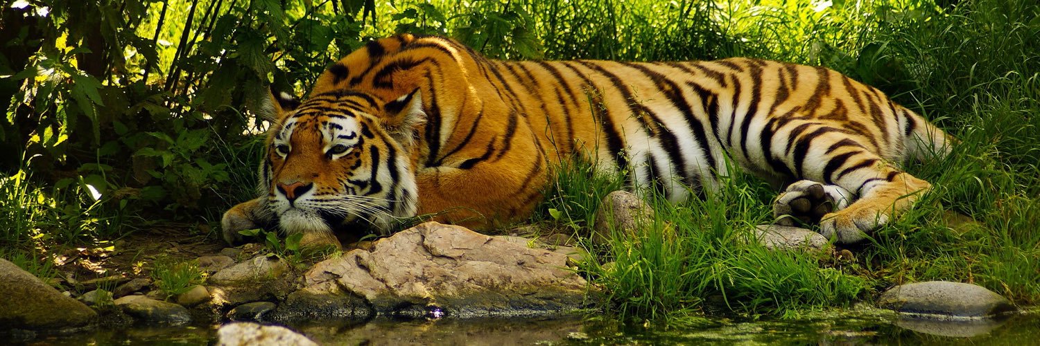 _Juber_'s profile banner image