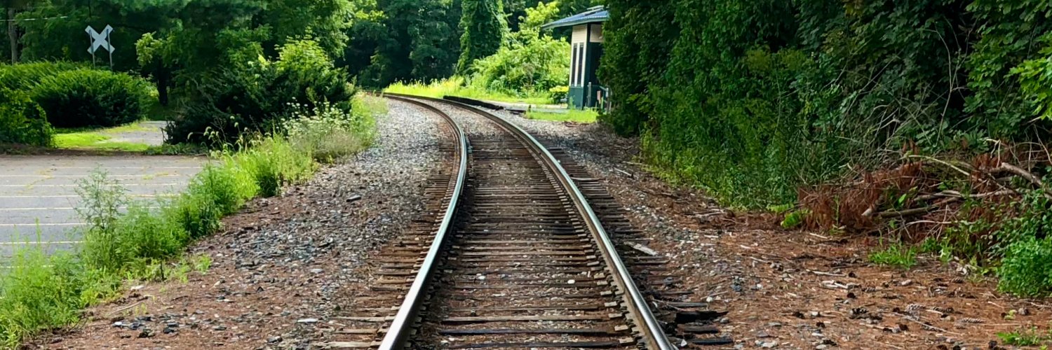 elizmort22's profile banner image