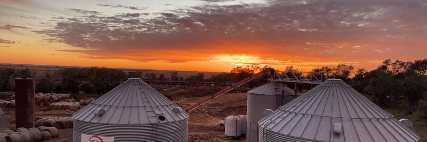 Feedlot Protégé banner