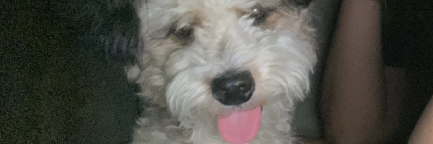 _iampringles's profile banner image