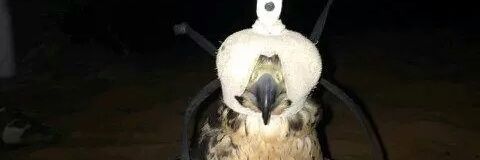 AlAlsaed115's profile banner image