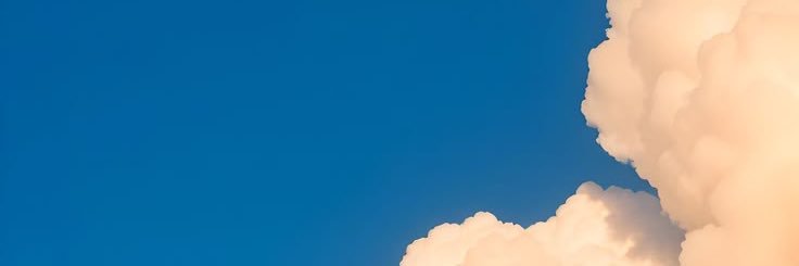 Pedrito1908nz2's profile banner image