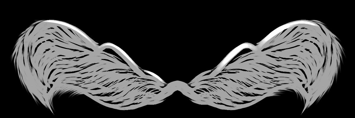 EkosApplely's profile banner image