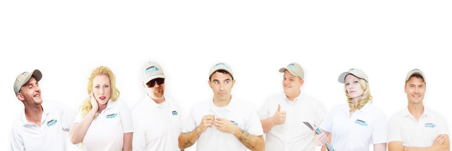SummerSalesShow's profile banner image