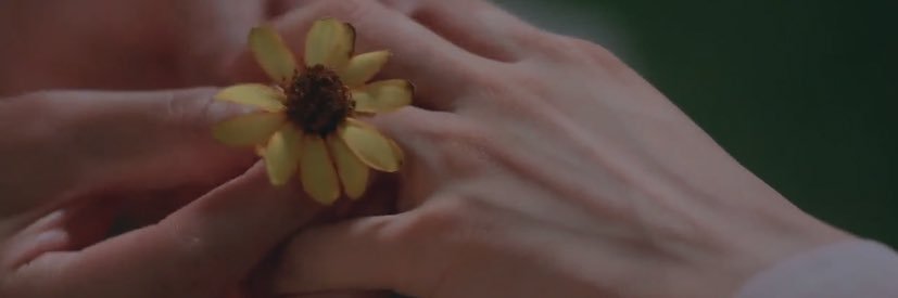 Abobrinha ✨ banner