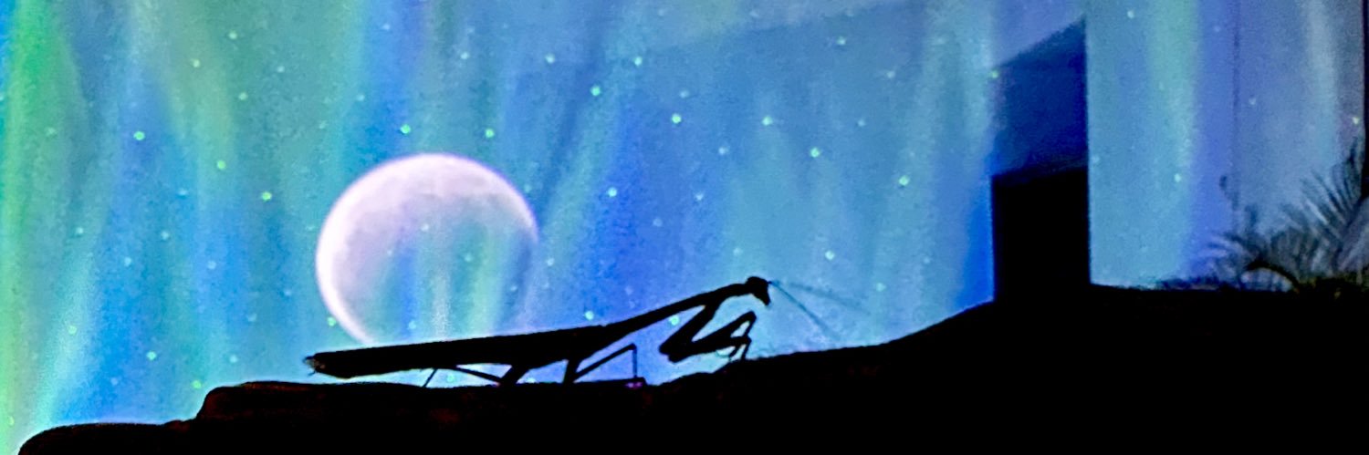 luchisesq's profile banner image