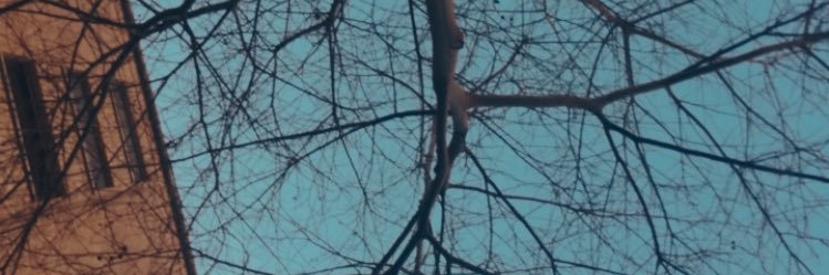 idoo_bg's profile banner image