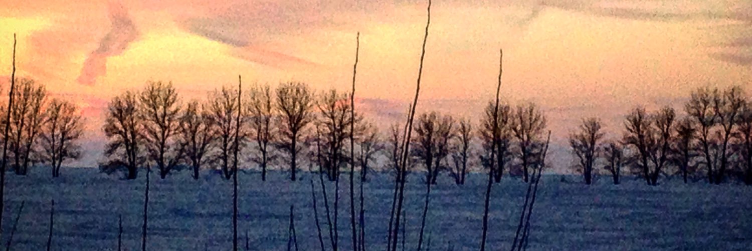 fluxcapacitor78's profile banner image
