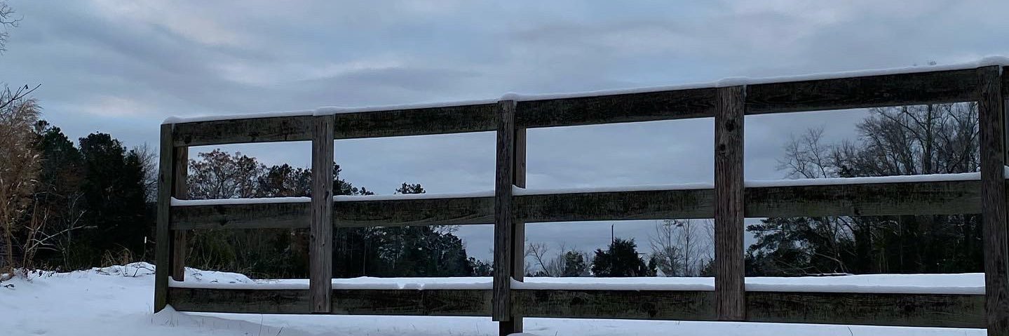 Michal Hope Brandon banner