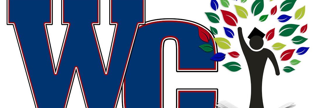 Grant Swallows banner