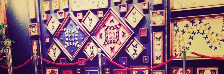 shareel346's profile banner image