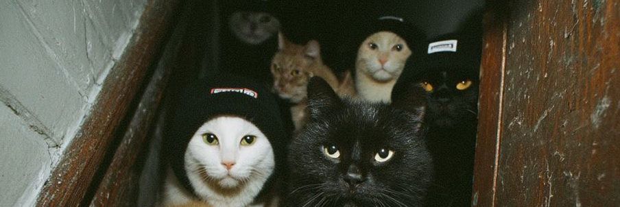 richardamud's profile banner image