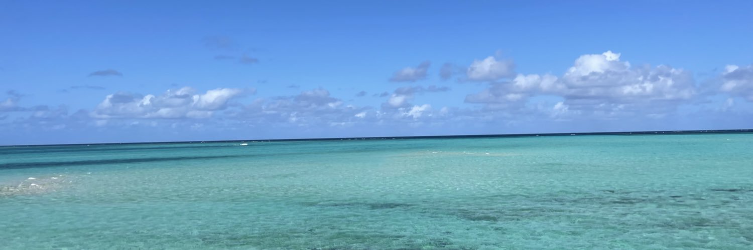 pppinkgold's profile banner image