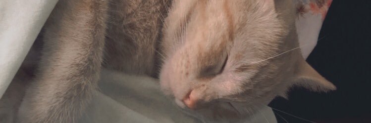 cenntttt's profile banner image