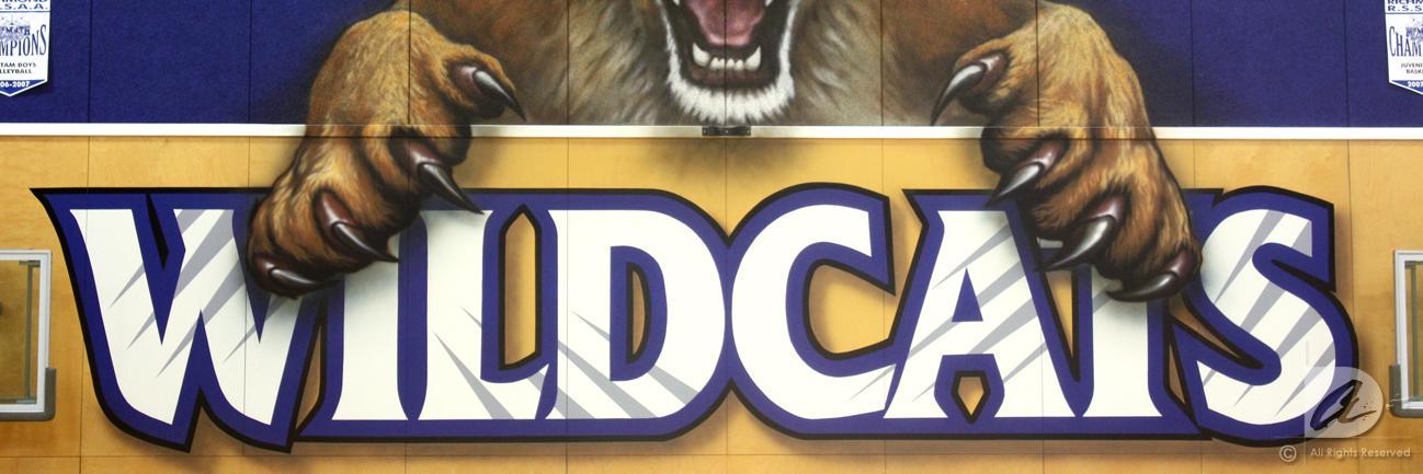Wildcats Basketball banner