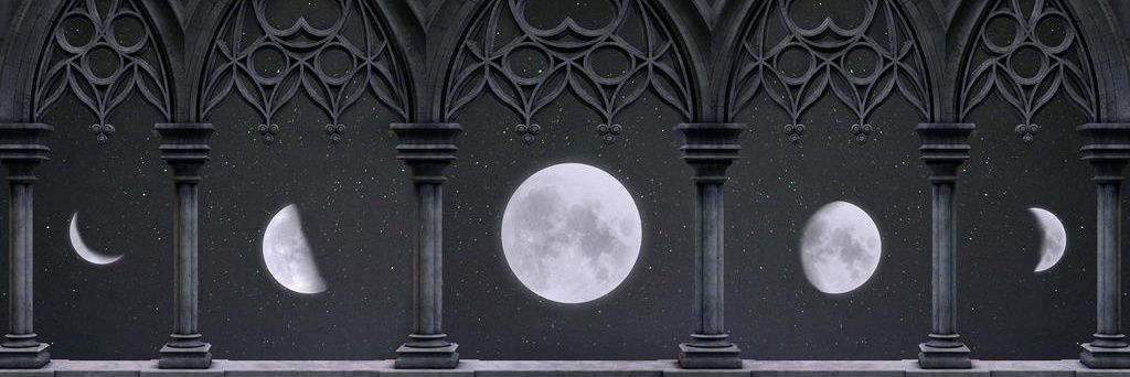 adhamnegm93's profile banner image