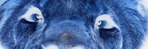 Baaia_HS Profile Banner