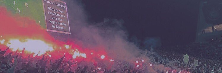 Raphanunes22's profile banner image
