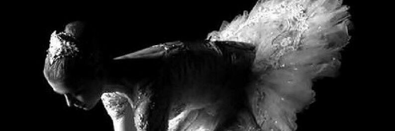 belurrossa's profile banner image