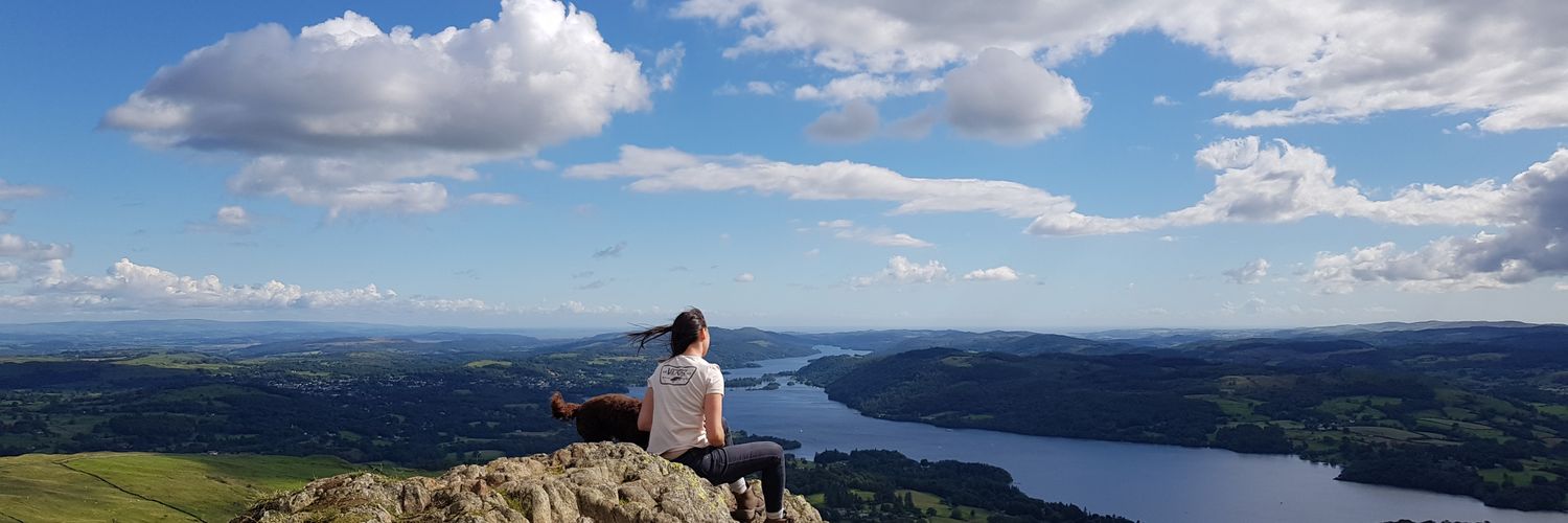 jesssimons2's profile banner image