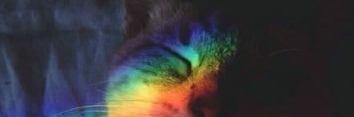 fnynfnti's profile banner image
