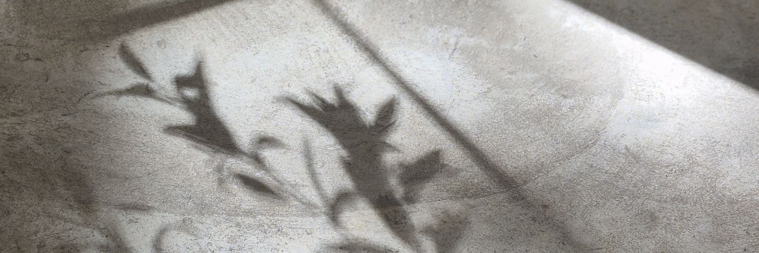piikoy100's profile banner image