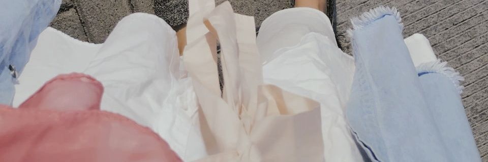 lanora banner