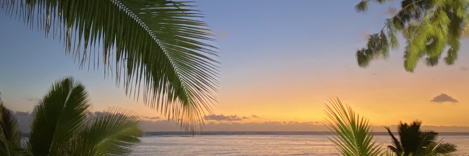 vivesrachel's profile banner image