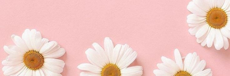𝓤𝓱𝓱❤ banner