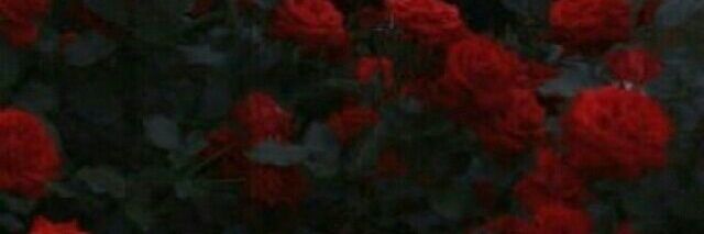 TrapicalDeity banner