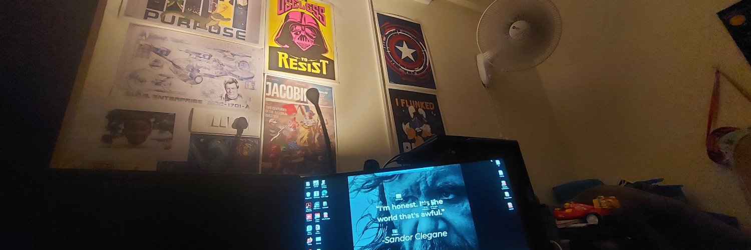 seegerblues's profile banner image