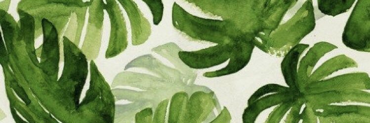 mch_loz's profile banner image