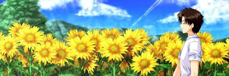 kooootorin's profile banner image