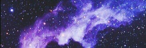 andressa pastore banner