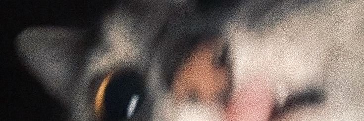 elioXdavid's profile banner image