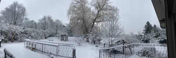 AAbizadeh Profile Banner