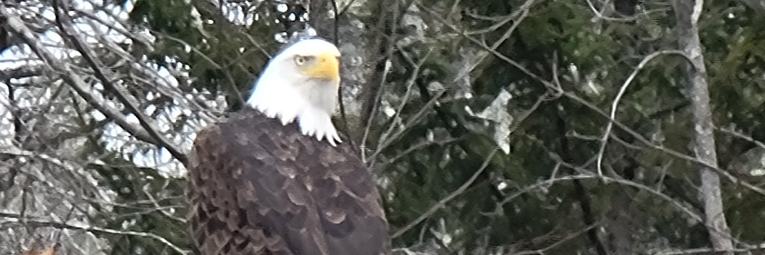 bcraddy50's profile banner image