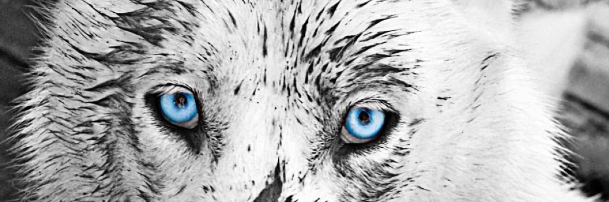 AlliMalyn's profile banner image