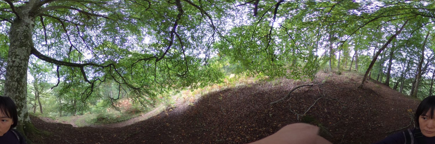 青柳菜摘／だつお banner