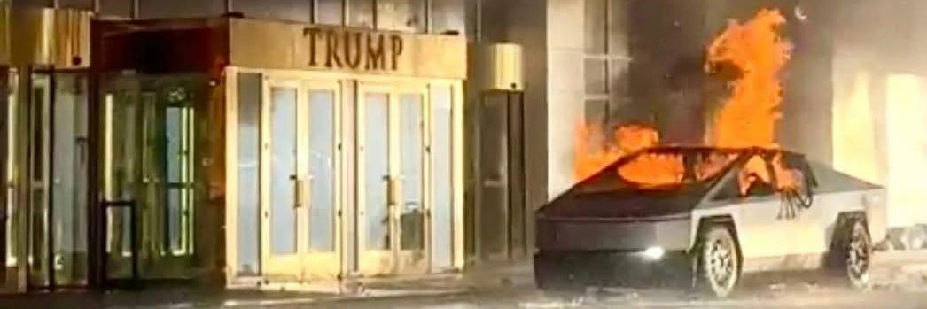 Conrad the Cat Dad banner