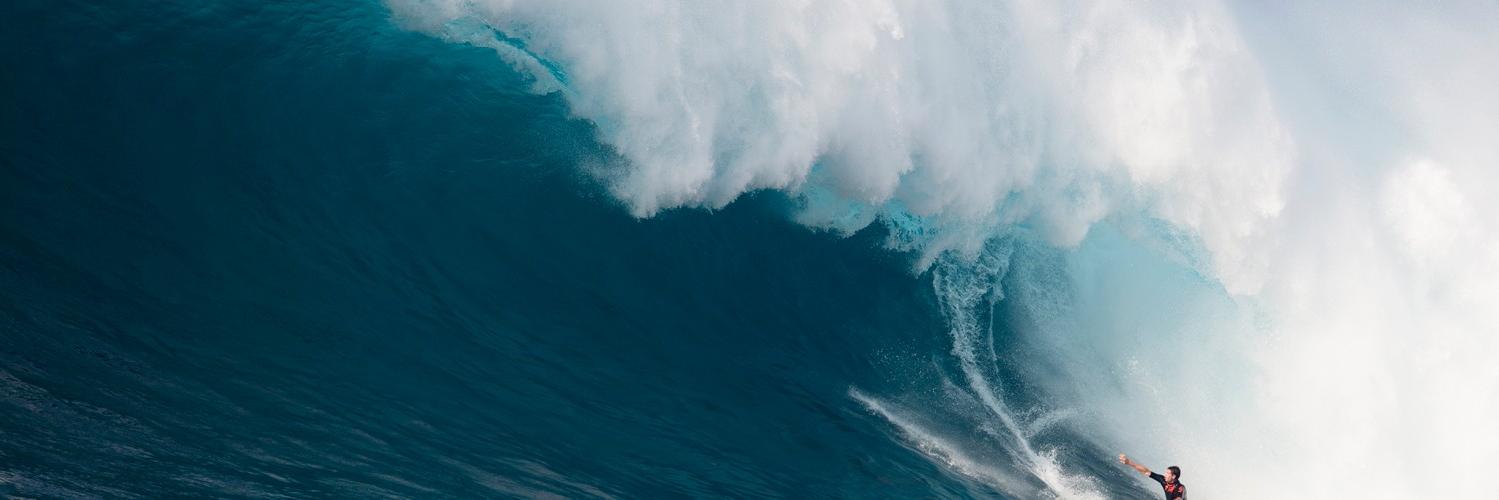 coetroxa's profile banner image