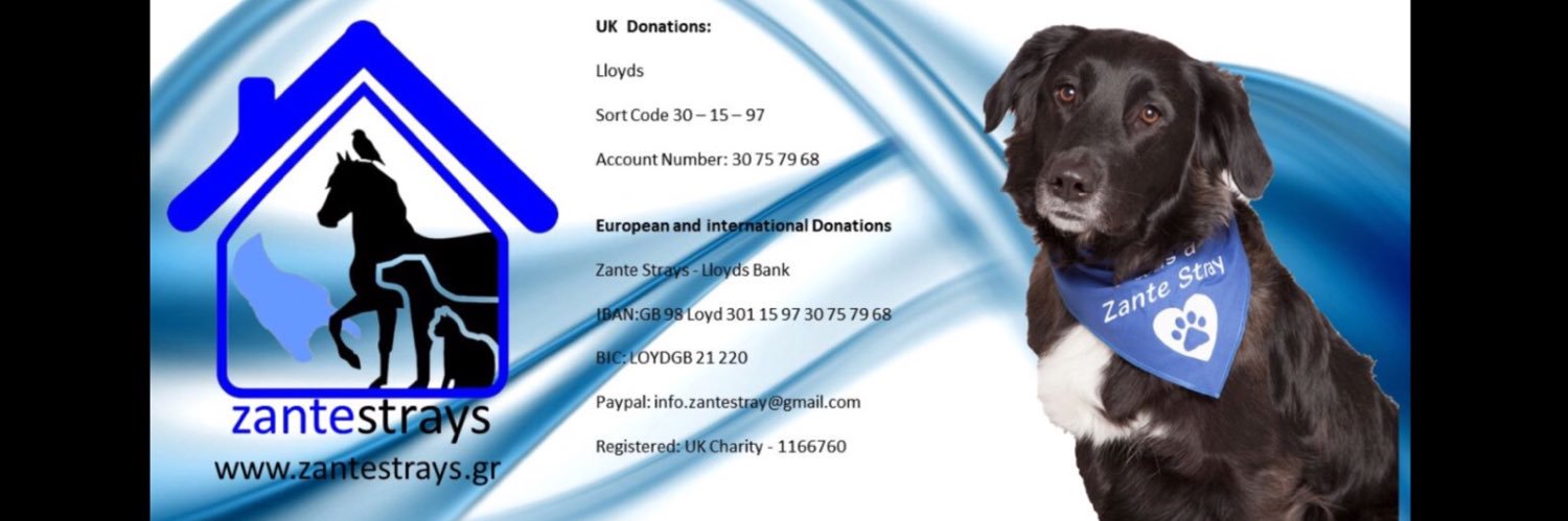 Rescue Zante Strays banner
