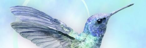 via8084's profile banner image