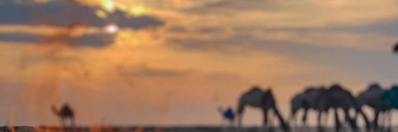 آلع ـتيبــيه511 banner