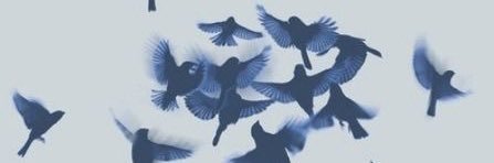 LNVictot's profile banner image